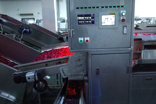 全面革新，智造美味 探秘嘉华食品花工厂技术升级之道